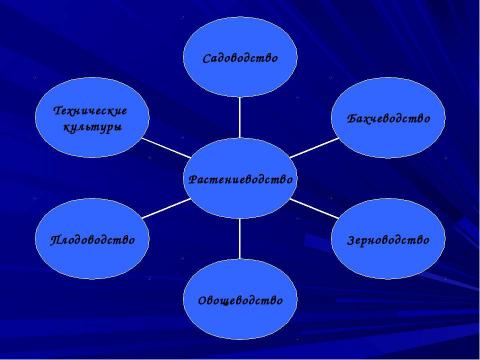 Презентация на тему "Растениеводство" по окружающему миру