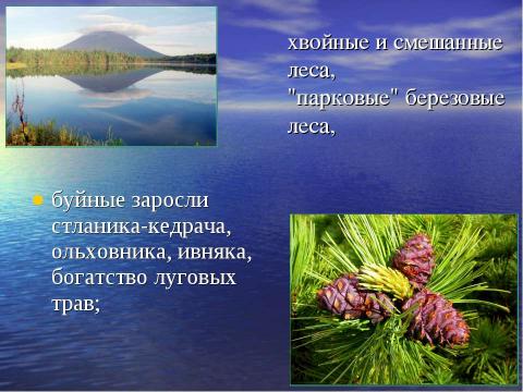 Презентация на тему "Рекреационные ресурсы Камчатки" по географии