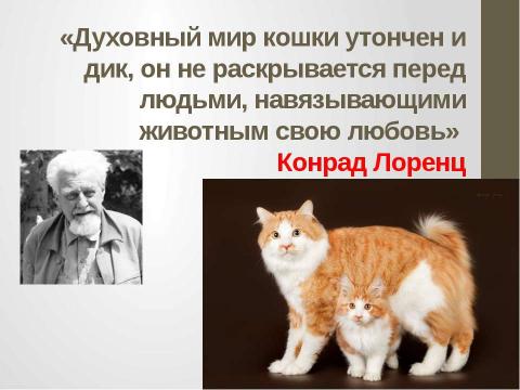 Презентация на тему "Кошки в истории, обществе, в английской и русском языках и литературе разных стран" по литературе