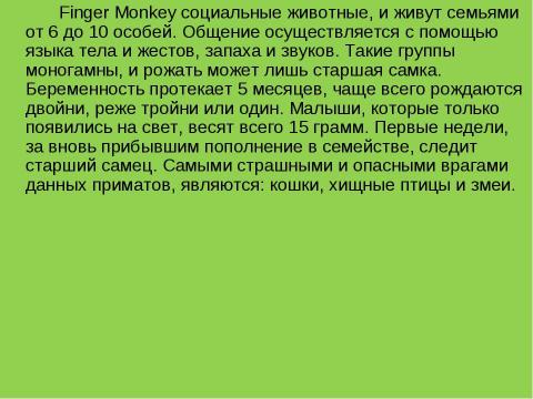 Презентация на тему "Карликовая игрунка или пальчиковая обезьяна (Finger Monkey)" по обществознанию