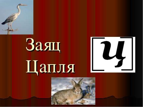 Презентация на тему "Супервикторина по русскому языку «Ума палата»" по русскому языку