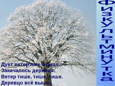 Презентация на тему "Как зимуют травы, кустарники и деревья" по окружающему миру