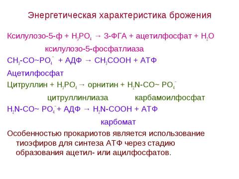 Презентация на тему "Брожения. Типы жизни, основанные на субстратном фосфорилировании" по биологии