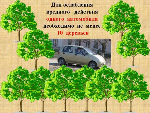 Презентация на тему "Вырубка деревьев - большая проблема маленького города" по экологии