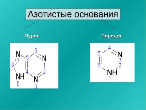 Презентация на тему "Нуклеиновые кислоты 9 класс" по химии