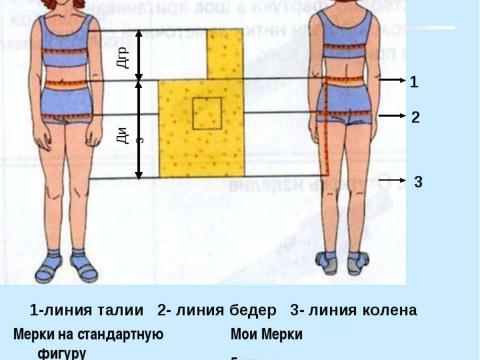 Презентация на тему "Конструирование швейных изделий" по технологии