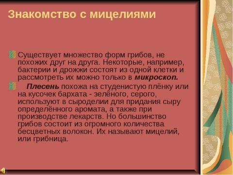 Презентация на тему "Полезный и вредный гриб - плесень" по химии