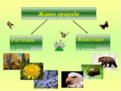 Презентация на тему "Судьба природы-наша судьба" по начальной школе