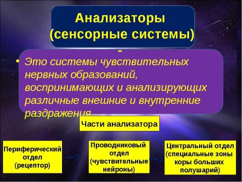 Презентация на тему "Орган зрения. Зрительный анализатор" по биологии