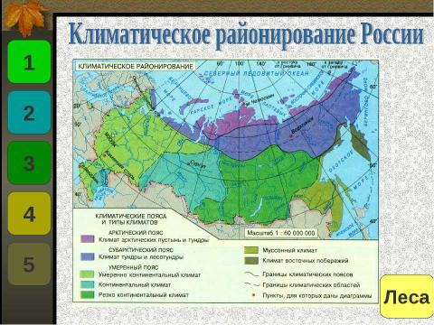 Презентация на тему "Значение климатических диаграмм в изучении типов климатов" по географии