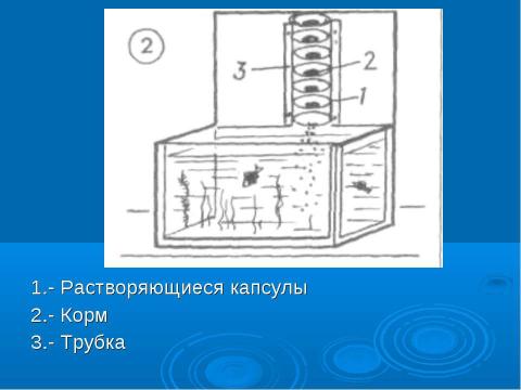 Презентация на тему "Автоматическая кормушка для аквариумных рыбок" по биологии