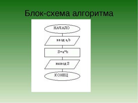 Презентация на тему "Типы алгоритмов: линейные и ветвление" по информатике