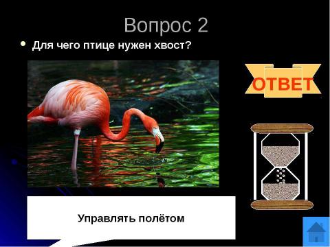 Презентация на тему "Окружающий мир. Животные" по начальной школе