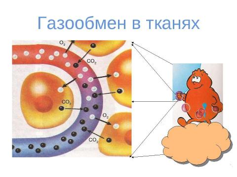 Презентация на тему "вода" по физике
