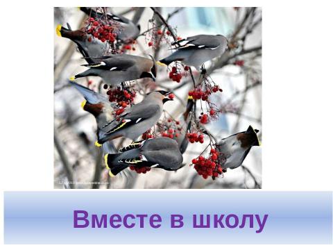 Презентация на тему "Встречи семейного клуба" по педагогике