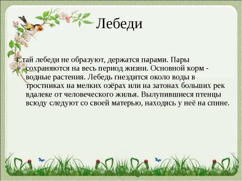 Презентация на тему "Летят перелётные птицы" по начальной школе