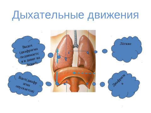 Презентация на тему "вода" по физике