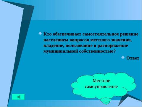 Презентация на тему "Основной закон государства" по педагогике