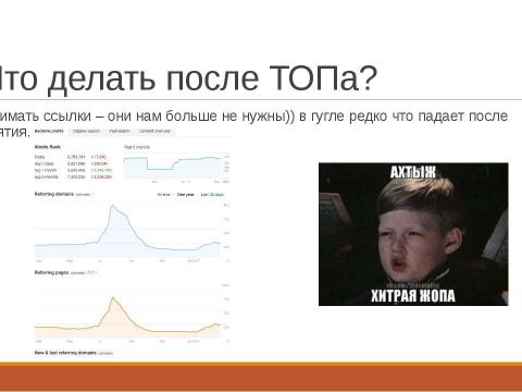 Презентация на тему "SEO Borman" по информатике