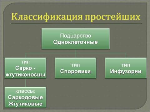 Презентация на тему "Многообразие одноклеточных организмов" по биологии