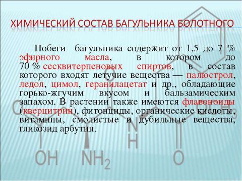 Презентация на тему "Багульник болотный" по биологии