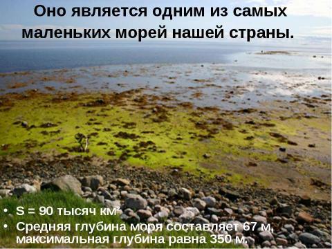 Презентация на тему "Белое море" по окружающему миру