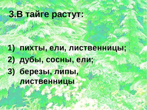 Презентация на тему "Лес и человек" по окружающему миру