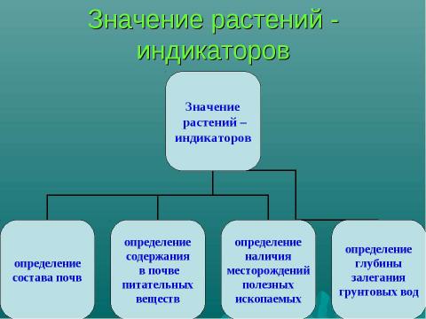 Презентация на тему "Растения-индикаторы полезных ископаемых" по биологии