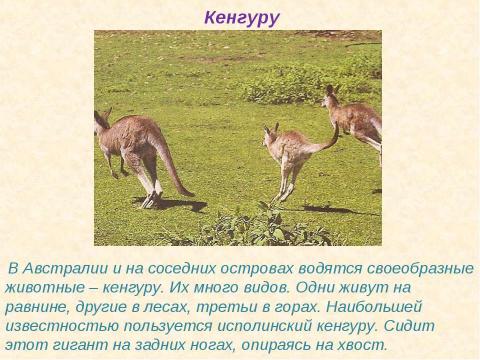 Презентация на тему "Зачем животным нужны хвосты? 5 класс" по окружающему миру