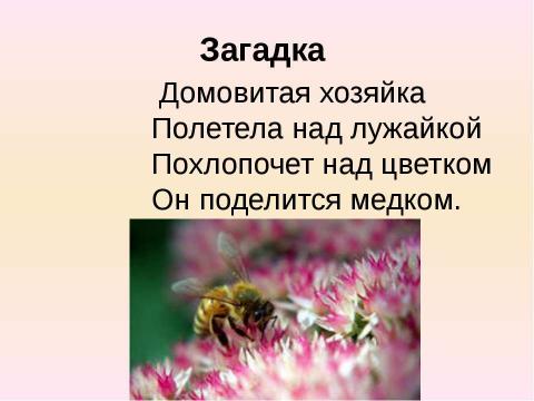 Презентация на тему "Письменное деление многозначного числа на однозначное" по начальной школе