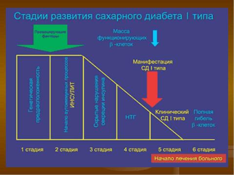 Презентация на тему "Профилактика сахарного диабета первого типа" по медицине