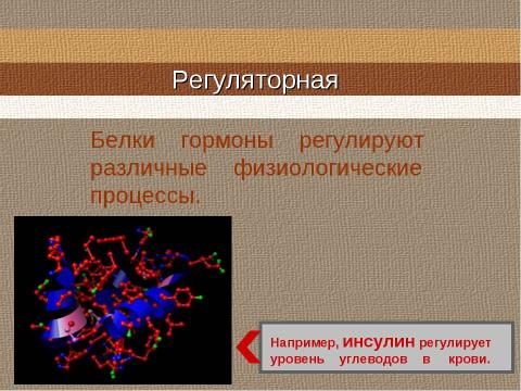 Презентация на тему "Свойства и функции белков" по биологии