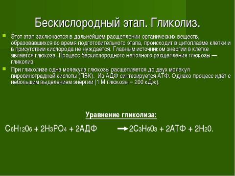 Презентация на тему "Основы цитологии. Энергетический обмен в клетке" по биологии