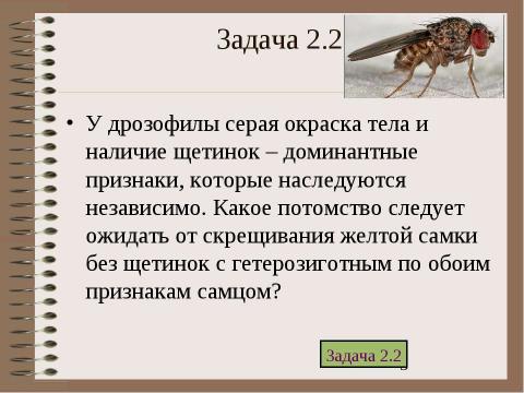 Презентация на тему "Электронный задачник по генетике Часть 2" по биологии