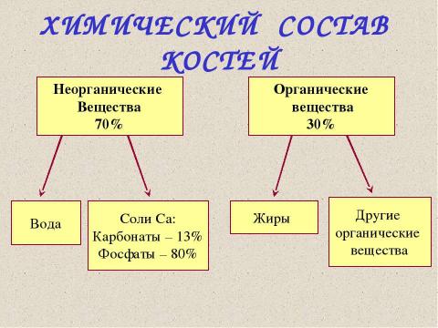 Презентация на тему "Значение опорно-двигательной системы, её состав. Строение костей" по биологии