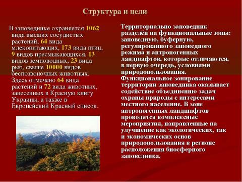 Презентация на тему "Заповедные места Украины. Карпатский биосферный заповедник" по географии