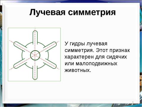 Презентация на тему "Тип кишечнополостные Пресноводный полип гидра" по биологии