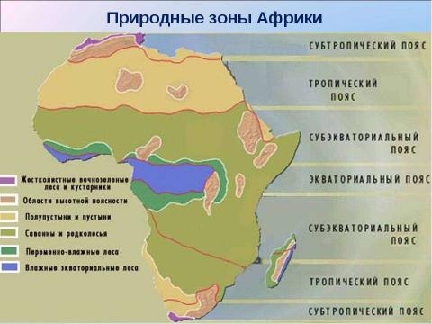 Презентация на тему "Природные зоны Африки 7 класс" по географии