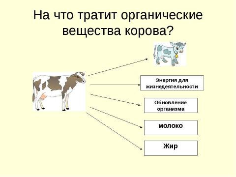 Презентация на тему "Обмен веществ в организме" по начальной школе