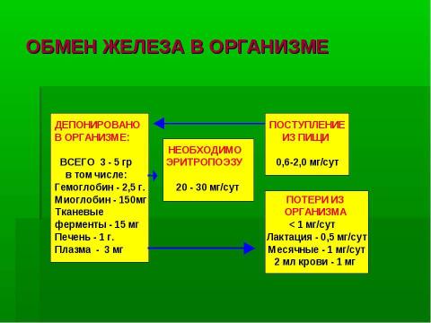 Презентация на тему "Механизм действия эритропоэтина" по медицине