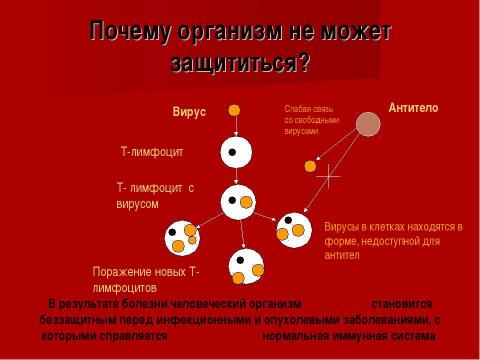 Презентация на тему "СПИД – чума XXI века" по медицине