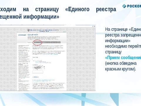 Презентация на тему "О наличии в сети Интернет следующей противоправной информации" по информатике