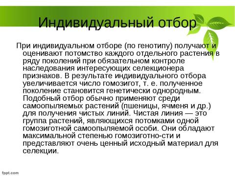 Презентация на тему "Селекция растений" по биологии