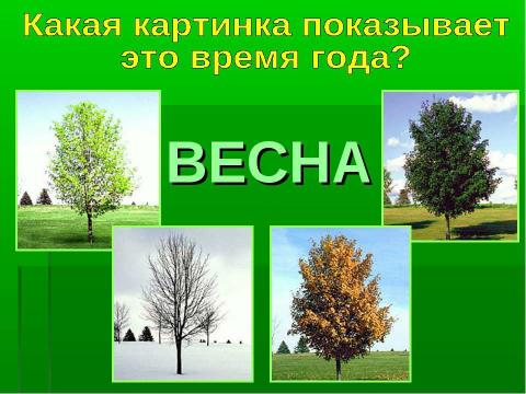 Презентация на тему "Лесная зона. Сезонные изменения" по окружающему миру