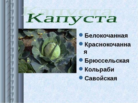 Презентация на тему "Роль овощей в питании" по обществознанию