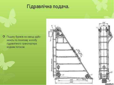 Презентация на тему "Виробництво цукру" по химии