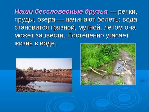 Презентация на тему "Научно – практическая конференция по экологии" по экологии