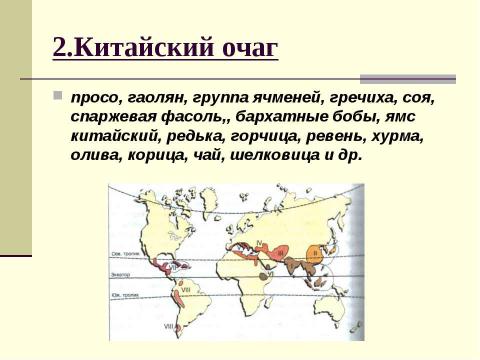 Презентация на тему "Центры происхождения культурных растений" по биологии