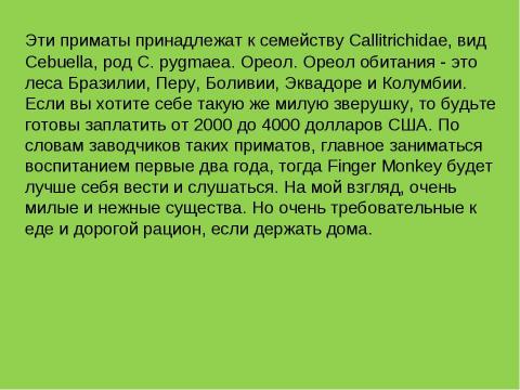 Презентация на тему "Карликовая игрунка или пальчиковая обезьяна (Finger Monkey)" по обществознанию