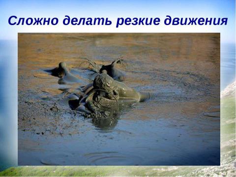 Презентация на тему "Почему невозможно утонуть в грязевом вулкане?" по физике